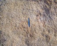 Granito equigranular (sienogranito a monzogranito), leucocrático. É composto por plagioclásio e feldspatos alcalinos e poucos cristais de biotitas e opacos. Autor: Ambrosio