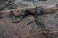 Intrusões de composição granítica cortando migmatito. Martelo orientado para Norte.