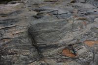 Textura migmatítica. Martelo orientado para Norte.