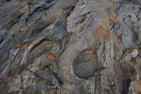 Textura migmatítica. Martelo orientado para Norte.