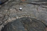 Bandamento félsico bordeando xenólito de anfibolito. Lupa como escala.