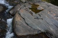 Textura migmatítica. Martelo orientado para Norte.