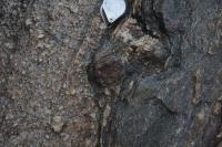 Granada utilizada como indicador cinemático do tipo delta. Lupa como escala.