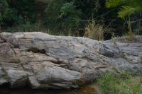 Textura migmatítica. Martelo orientado para Norte.