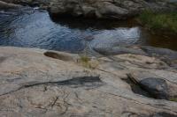 Melanossoma em gnaisse com textura migmatítica.