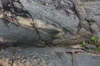 Textura migmatítica. Martelo orientado para Norte.