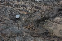 Dobras recumbentes em bandamento félsico de migmatito. Lupa como escala.