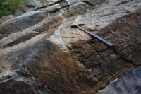 Intrusão decimétrica de composição granítica em rocha com textura migmatítica. Martelo orientado para Norte.