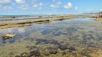 Formação de piscinas sobre o Recife de Arenito de Muro Alto durante a maré baixa. Foto: Rogério Valença Ferreira.