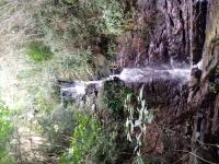 Queda principal, estilo "Véu de noiva".